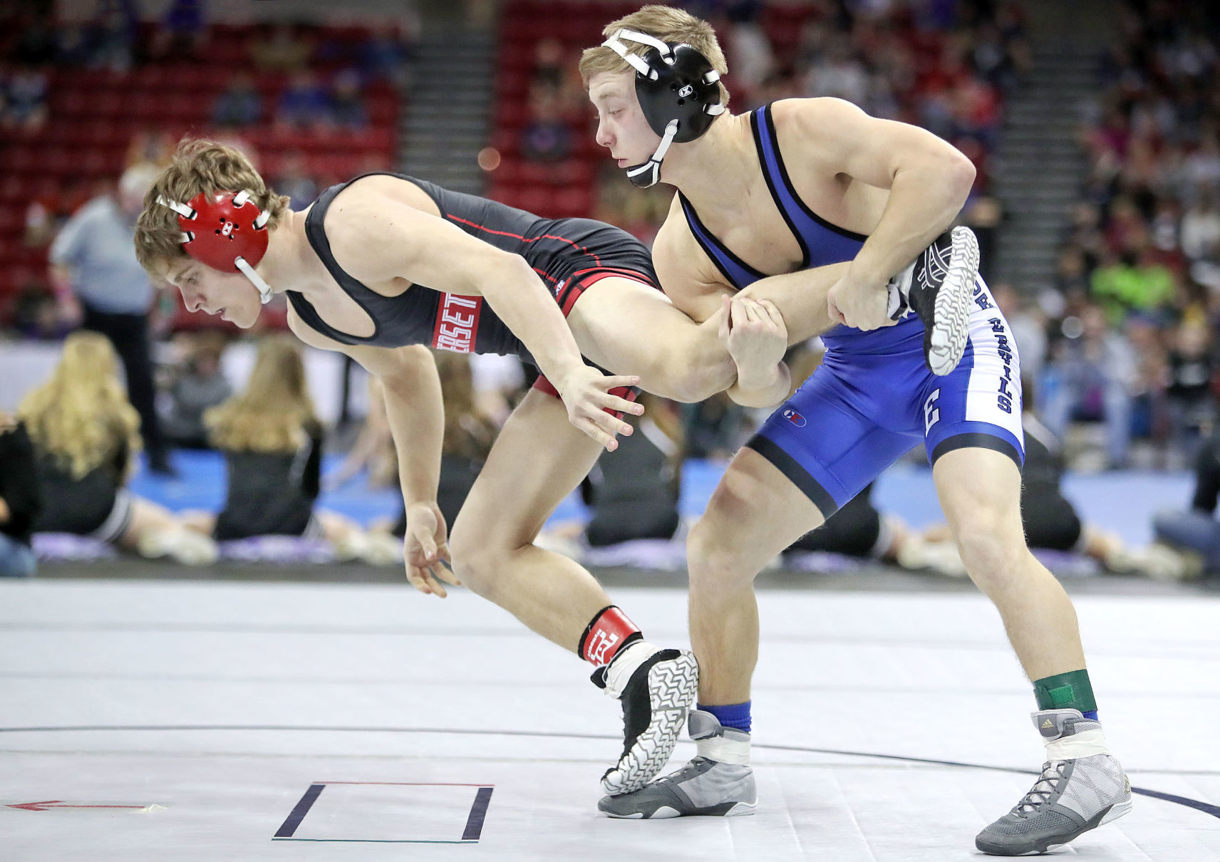 190222_WRESTLE14